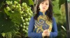 Thánh Ca: Cây viết chì nhỏ - Trình Bày: Ca sĩ Như Ý
