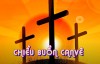 Chiều Buồn Canvê (Sáng tác: Peter Thanh SDD) - Xara Trần | Nhạc Thánh Ca Mùa Chay Hay Nhất 2021