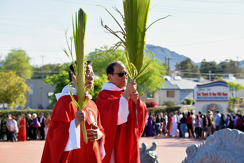Hình ảnh: Chúa Nhật Lễ Lá (ngày 14 tháng 4 năm 2019)