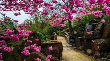 Hội Đồng Giám Mục Nhật Bản công bố bài hát chủ đề trong chuyến tông du của Đức Thánh Cha tại Nhật Bản.