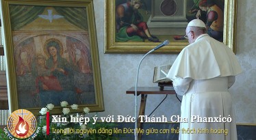 Giữa thời khắc kinh hoàng coronavirus, Đức Thánh Cha mời cùng đọc lời nguyện sau dâng lên Đức Mẹ