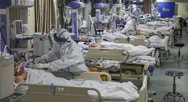 Virus bùng phát lại ở Mỹ, Úc. Hai Giám Mục trong tình trạng nghiêm trọng. Các đền thánh tiêu điều