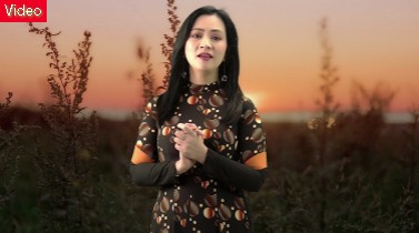 Thánh Ca: Hạt Giống Tình Yêu – Trình Bày: Ca Sĩ Như Ý