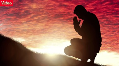 Xin Lỗi Chúa – Trình bày: Ca Sĩ Lệ Hằng