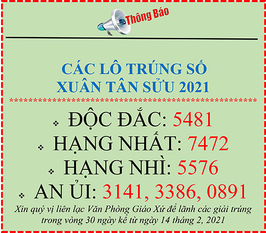 cac lo trung solr