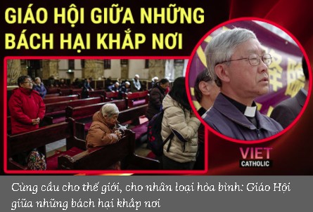 Cùng cầu cho thế giới, cho nhân loại hòa bình: Giáo Hội giữa những bách hại khắp nơi
