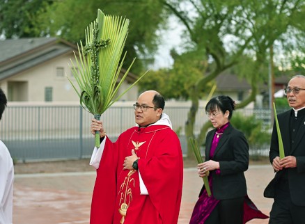 Hình ảnh Chúa Nhật Lễ Lá